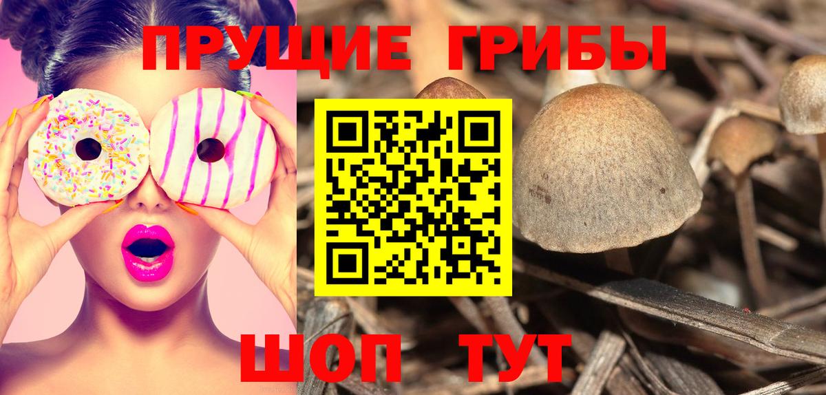 Галлюциногенные грибы прущие грибы Клинцы