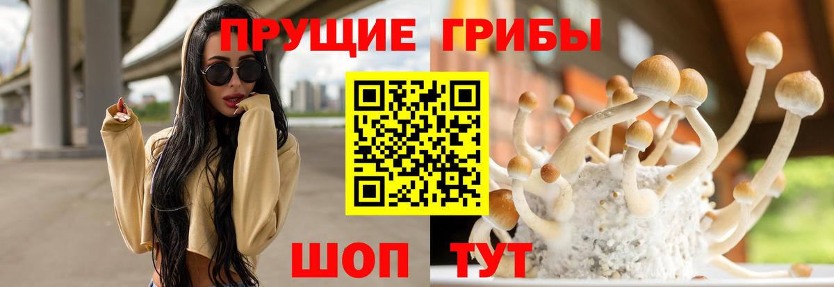Клинцы  Галлюциногенные грибы Cubensis  Галлюциногенные грибы Psilocybine cubensis  Вход с VPN 